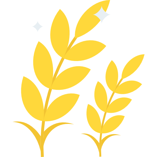 icon-1